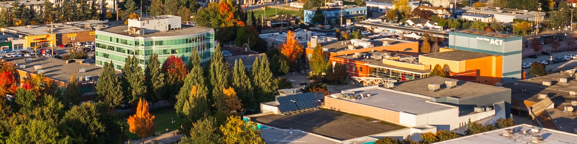 An aerial shot of Memorial Peace Park and the buildings immediately surrounding it.