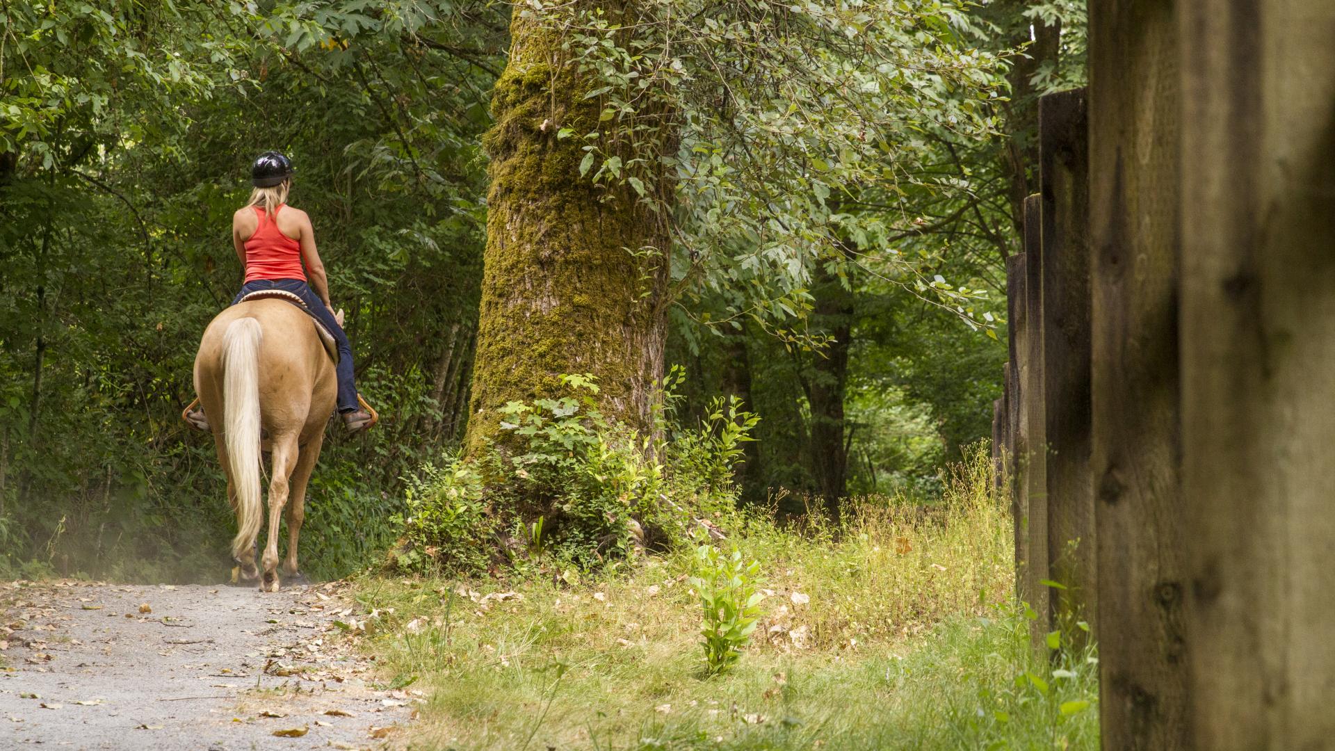 a woman riding a light coloured horse down a dirt trail in a forest.