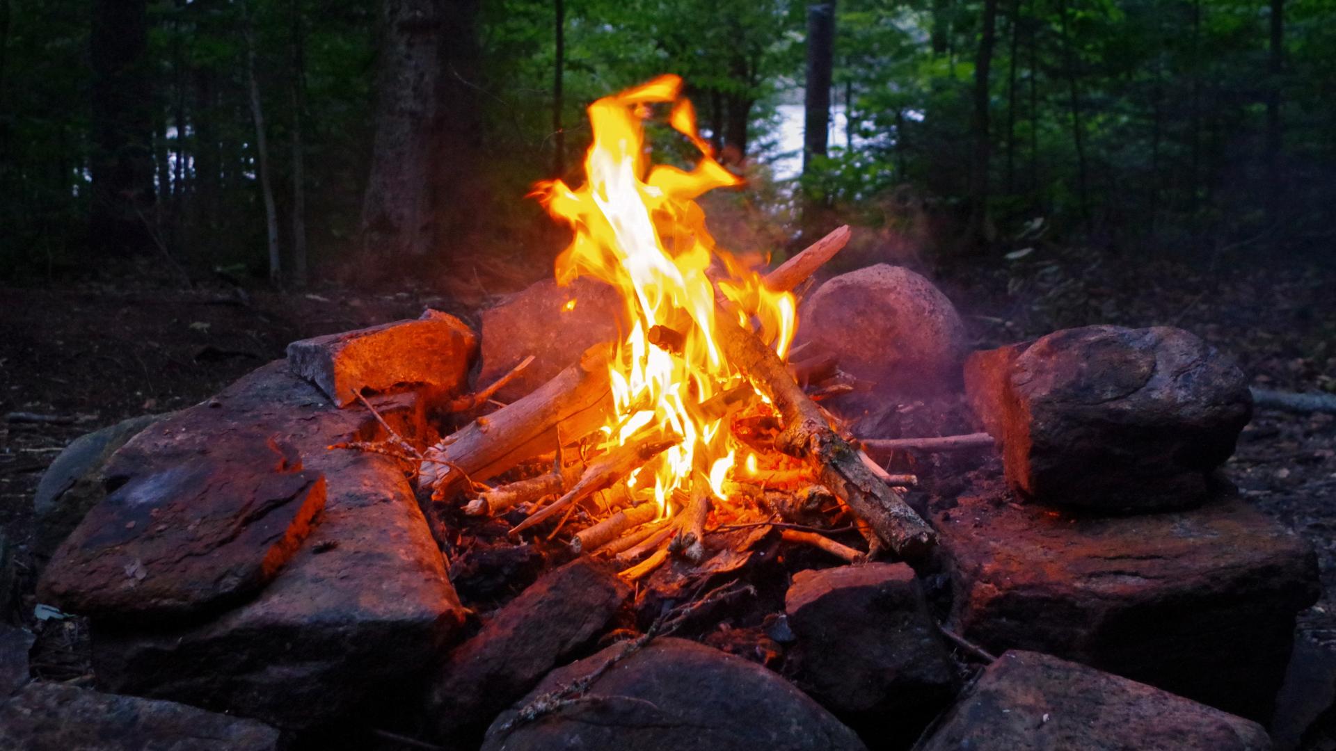 A campfire hemmed in by stones blazes, bringing light to the forest.