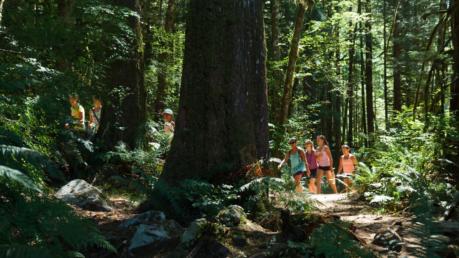 Group Walking at Alouette Lake