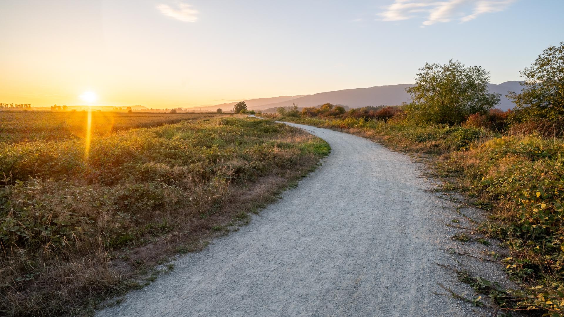 Gravel Pathway at North Alouette Greenway