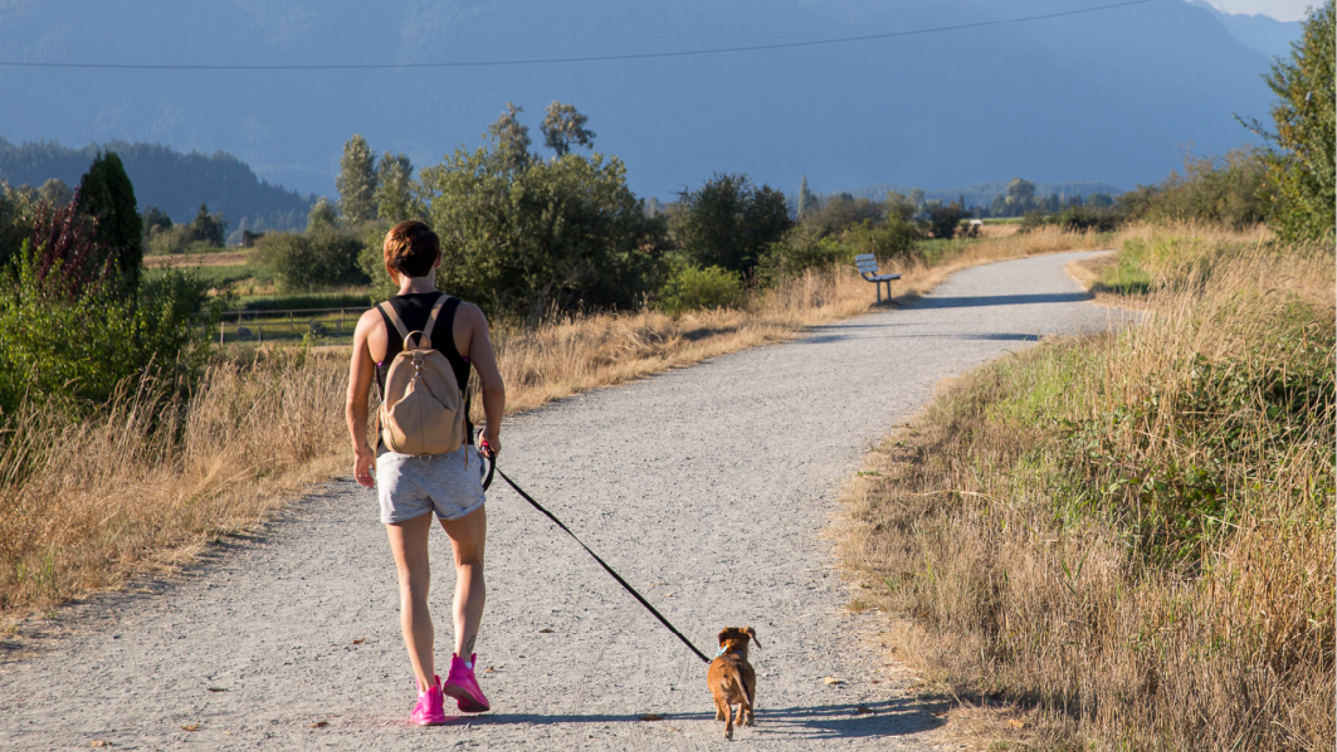 Man walking their dog on a leash through a gravel path. There are mountains in the background.
