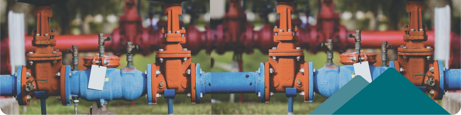 backflow prevention device