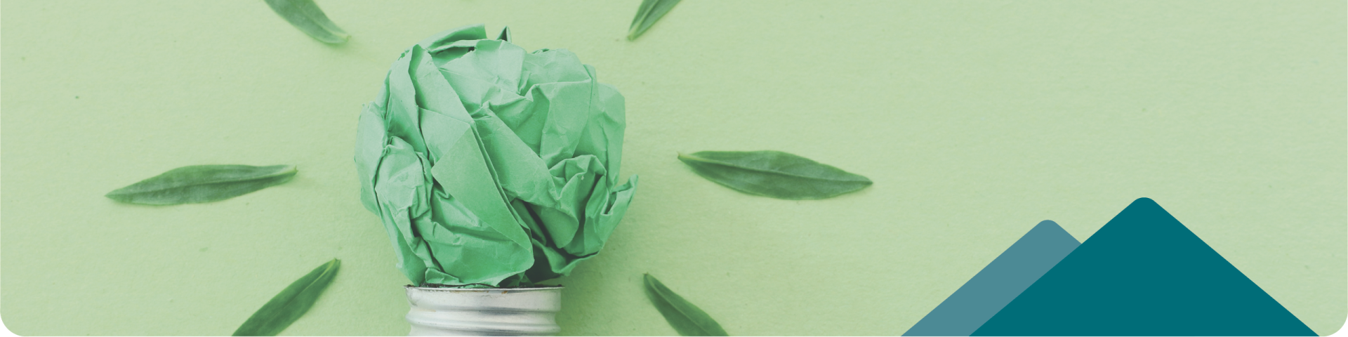 climate action green bulb