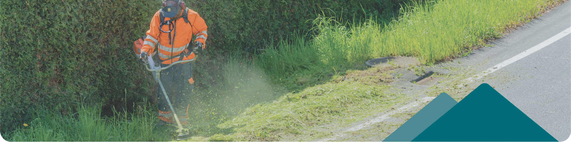 roadside mowing