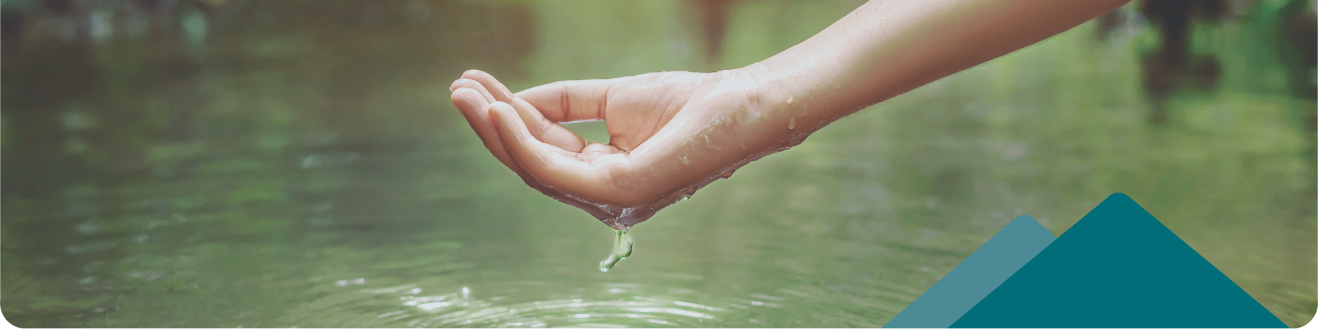 a hand dipped in water